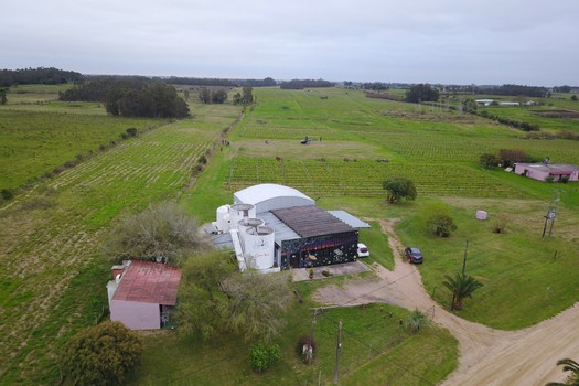 Bodega Bracco Bosca