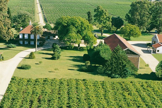 Enoturismo y La Ruta del Vino en Canelones