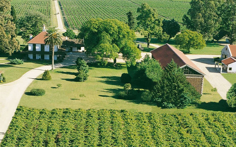 Enoturismo y La Ruta del Vino en Canelones