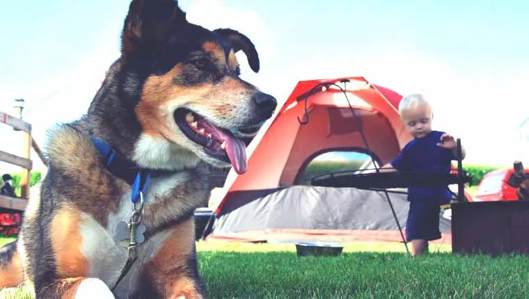 Alojamiento Parcela Camping